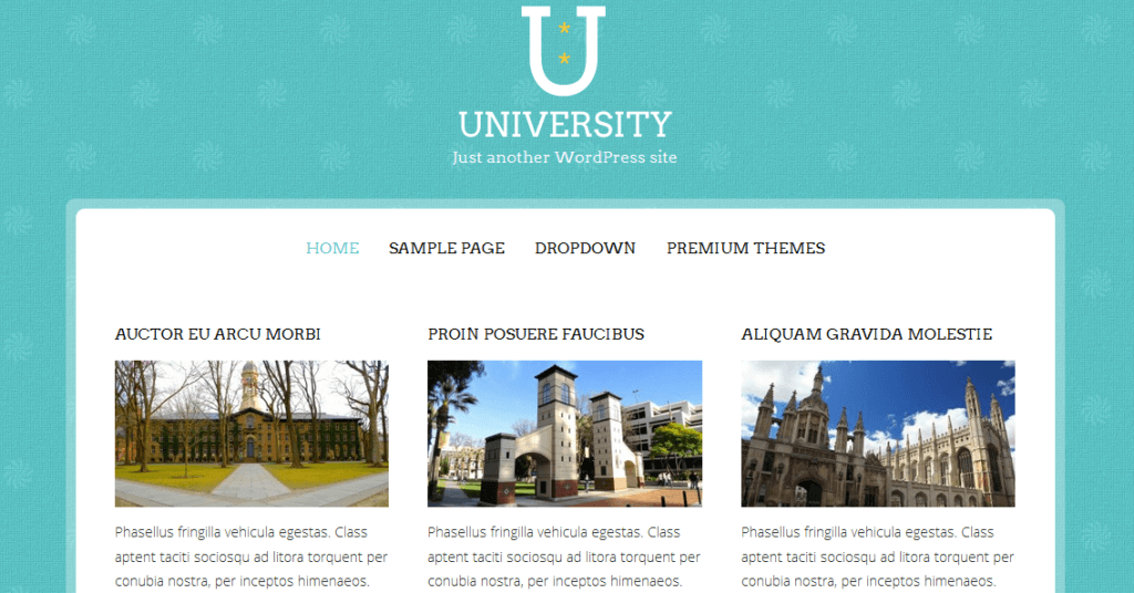 10 Template WordPress Website Universitas Premium  