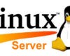 Distro Linux Untuk Membangun Server 